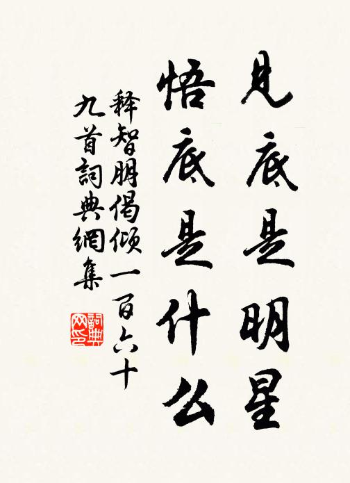 释智朋见底是明星，悟底是什么书法作品欣赏