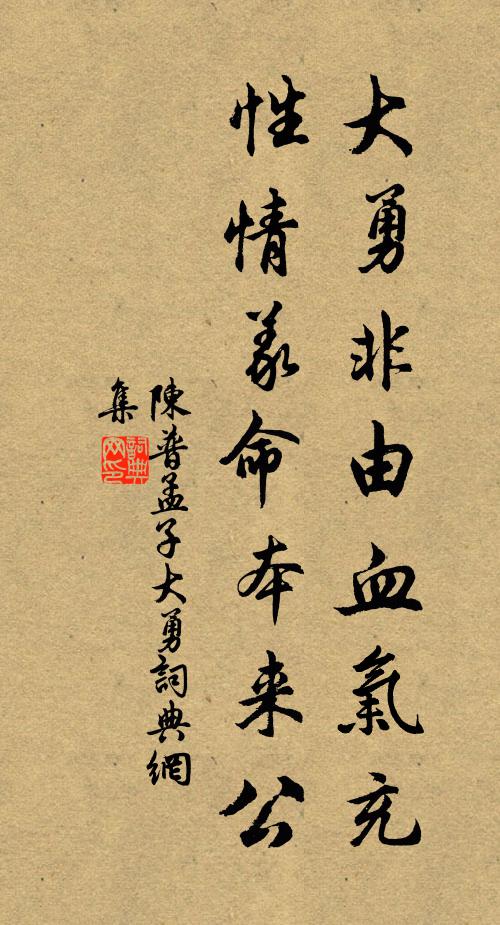 陈普大勇非由血气充，性情义命本来公书法作品欣赏