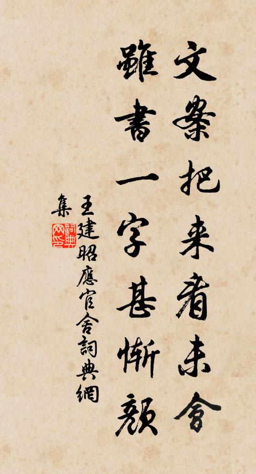 王建文案把来看未会，虽书一字甚惭颜书法作品欣赏