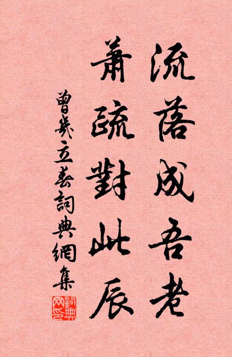 曾几流落成吾老，萧疏对此辰书法作品欣赏