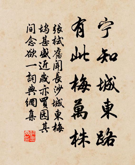 张栻宁知城东路，有此梅万株书法作品欣赏