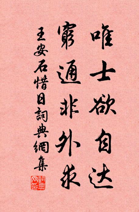 王安石唯士欲自达，穷通非外求书法作品欣赏