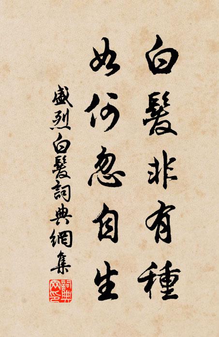 盛烈白发非有种，如何忽自生书法作品欣赏