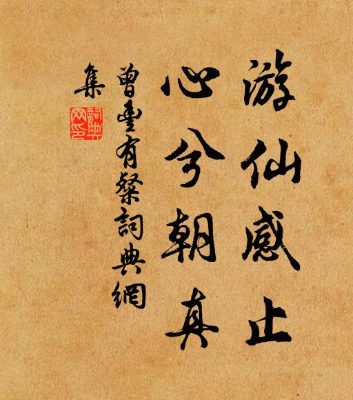 曾丰游仙感止，心兮朝真书法作品欣赏