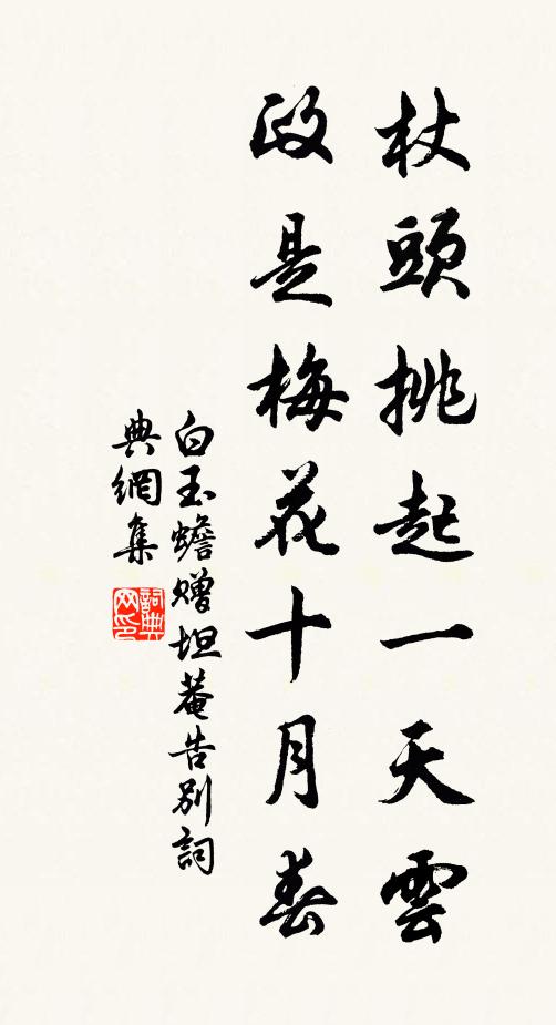 白玉蟾杖头挑起一天云，政是梅花十月春书法作品欣赏