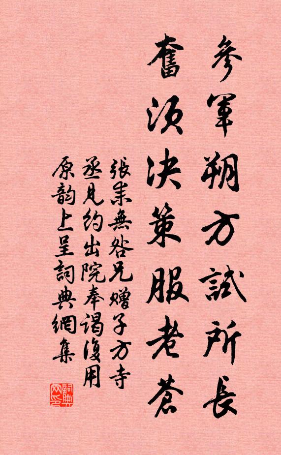 张耒参军朔方试所长，奋须决策服老苍书法作品欣赏