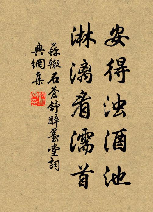 苏辙安得浊酒池，淋漓看濡首书法作品欣赏