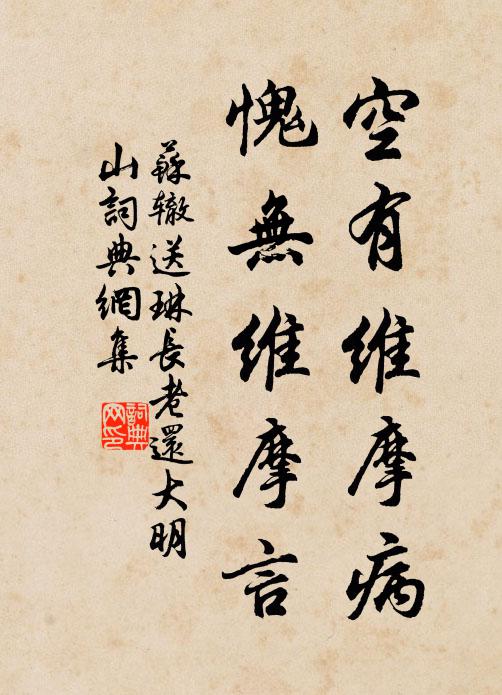 苏辙空有维摩病，愧无维摩言书法作品欣赏