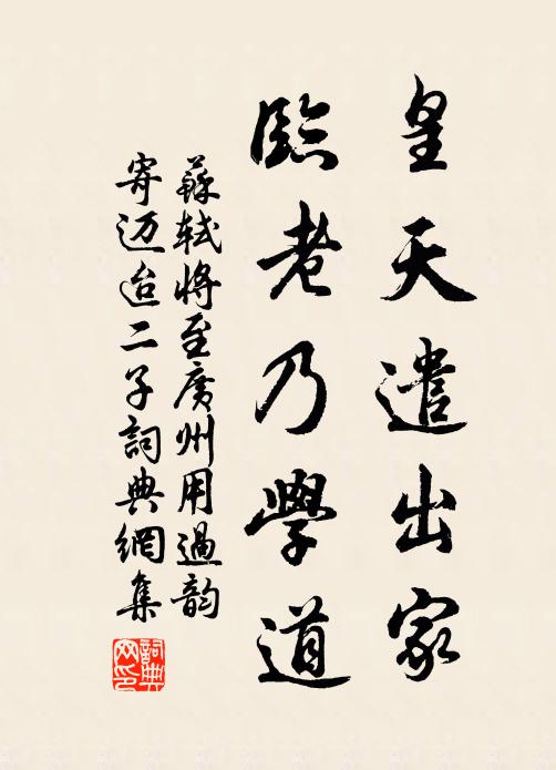 苏轼皇天遣出家，临老乃学道书法作品欣赏