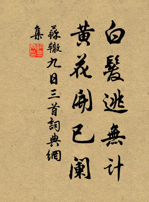 苏辙白发逃无计，黄花开已阑书法作品欣赏