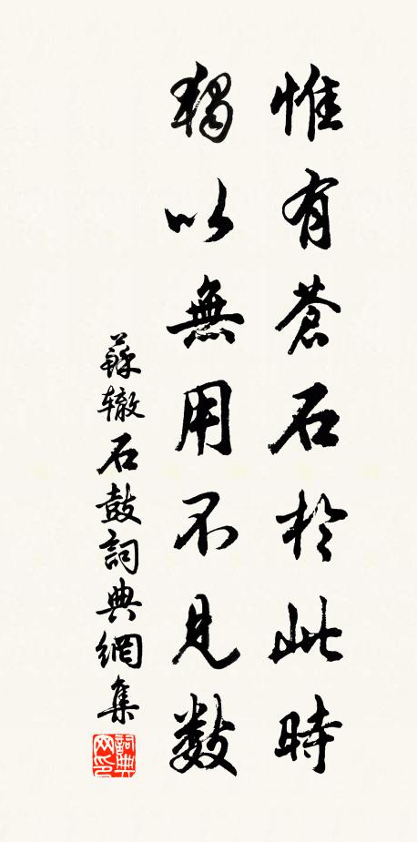 苏辙惟有苍石于此时,独以无用不见数书法作品欣赏