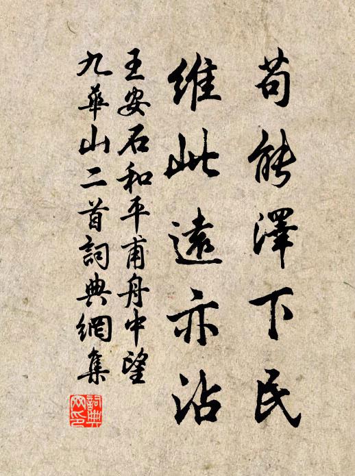 王安石苟能泽下民,维此远亦沾书法作品欣赏