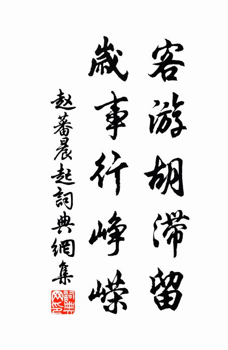 赵蕃客游胡滞留，岁事行峥嵘书法作品欣赏