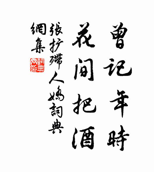 张扩曾记年时，花间把酒书法作品欣赏