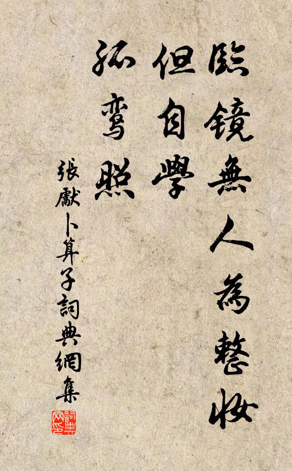 张先临镜无人为整妆，但自学、孤鸾照书法作品欣赏