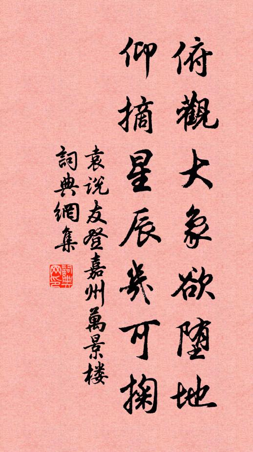 袁说友俯观大象欲堕地，仰摘星辰几可掬书法作品欣赏
