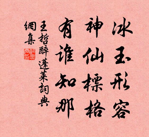 王哲冰玉形容，神仙标格，有谁知那书法作品欣赏