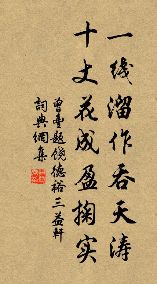 曾丰一线溜作吞天涛，十丈花成盈掬实书法作品欣赏