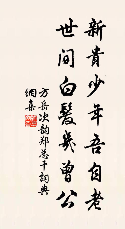 方岳新贵少年吾自老，世间白发几曾公书法作品欣赏