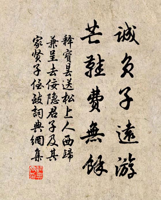 释宝昙诚负子远游，芒鞋费无馀书法作品欣赏