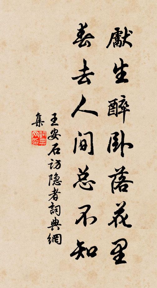 王安石先生醉卧落花里，春去人间总不知书法作品欣赏