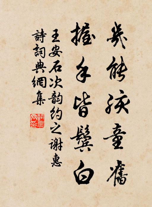 王安石几能孩童旧,握手皆鬓白书法作品欣赏