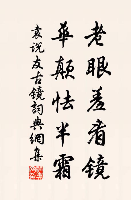 袁说友老眼羞看镜，华颠怯半霜书法作品欣赏