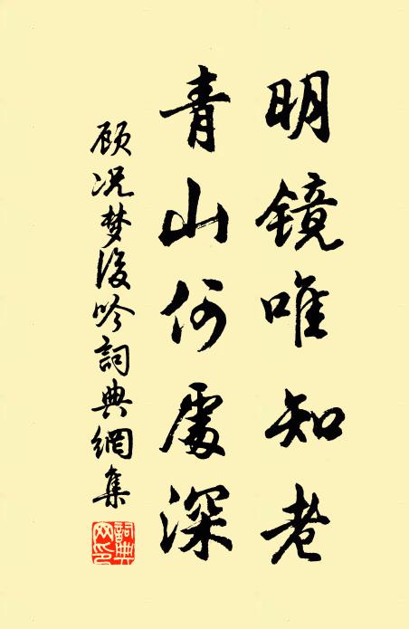 顾况明镜唯知老，青山何处深书法作品欣赏