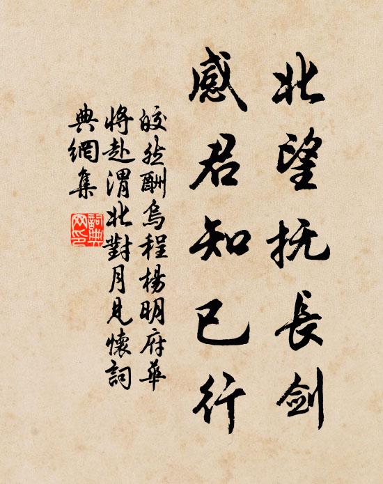皎然北望抚长剑，感君知已行书法作品欣赏