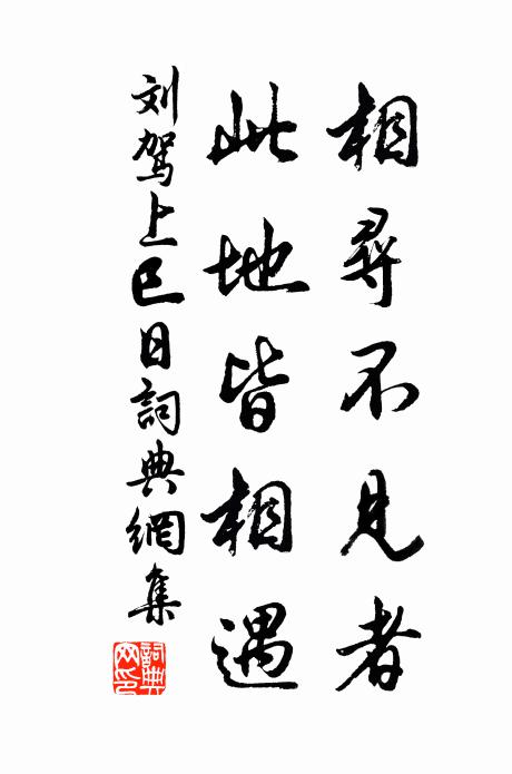 刘驾相寻不见者，此地皆相遇书法作品欣赏