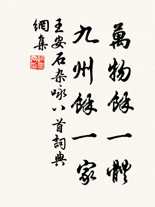 王安石万物余一体，九州余一家书法作品欣赏