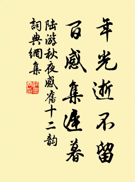 陆游年光逝不留，百感集迟暮书法作品欣赏