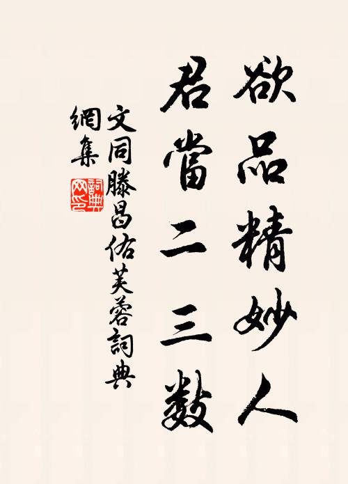 文同欲品精妙人，君当二三数书法作品欣赏