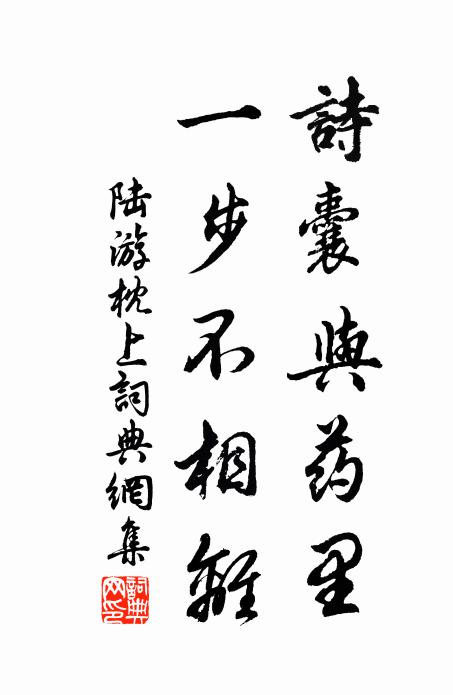 陆游诗囊与药里，一步不相离书法作品欣赏