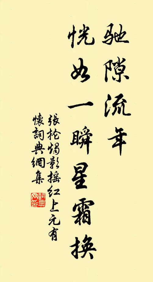 张抡驰隙流年，恍如一瞬星霜换书法作品欣赏