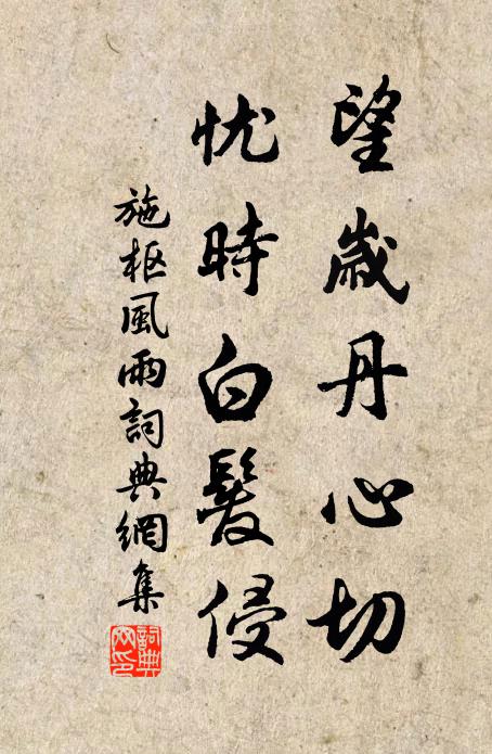 施枢望岁丹心切，忧时白发侵书法作品欣赏
