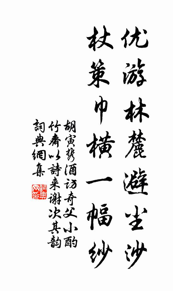 胡寅优游林麓避尘沙，杖策巾横一幅纱书法作品欣赏