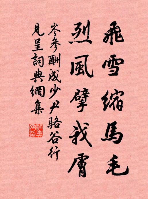 岑参飞雪缩马毛，烈风擘我肤书法作品欣赏