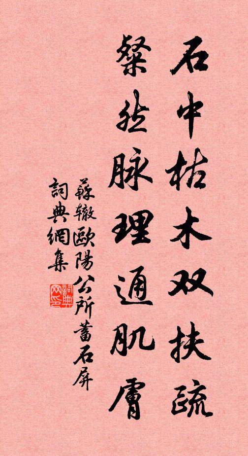 苏辙石中枯木双扶疏，粲然脉理通肌肤书法作品欣赏