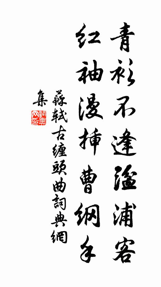 苏轼青衫不逢湓浦客，红袖漫插曹纲手书法作品欣赏
