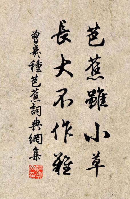 曾几芭蕉虽小草，长大不作难书法作品欣赏