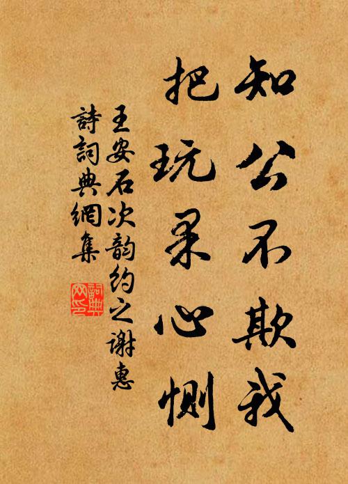 王安石知公不欺我,把玩果心恻书法作品欣赏