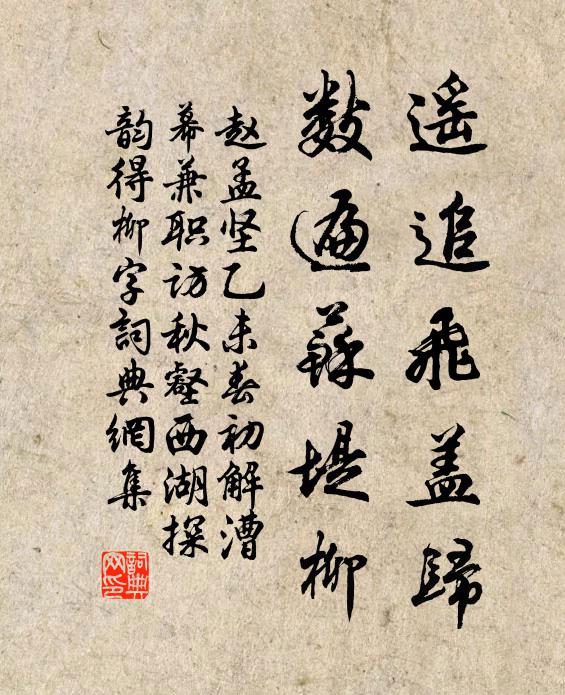 赵孟坚遥追飞盖归，数遍苏堤柳书法作品欣赏