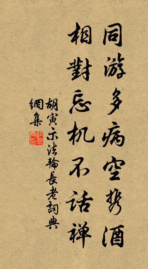 胡寅同游多病空携酒，相对忘机不话禅书法作品欣赏