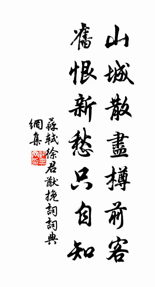 苏轼山城散尽樽前客，旧恨新愁只自知书法作品欣赏