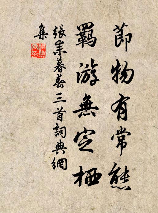 张耒节物有常态，羁游无定栖书法作品欣赏