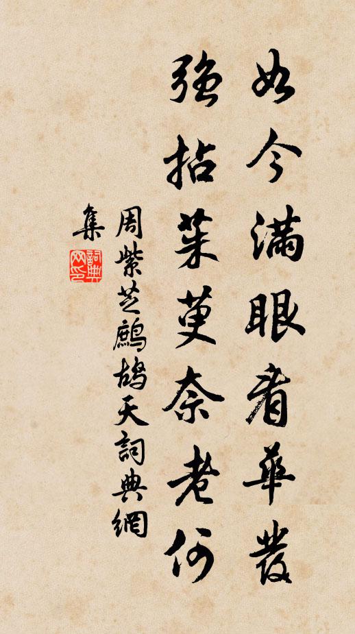 周紫芝如今满眼看华发，强拈茱萸奈老何书法作品欣赏