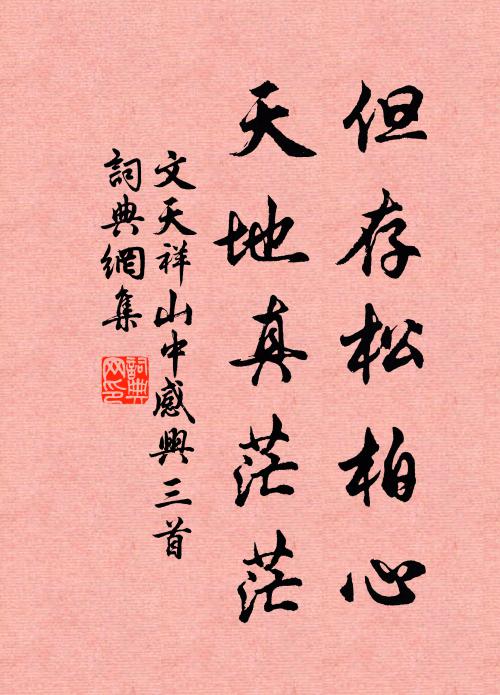 文天祥但存松柏心，天地真茫茫书法作品欣赏