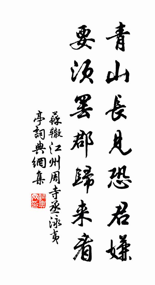 苏辙青山长见恐君嫌，要须罢郡归来看书法作品欣赏