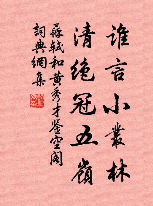 苏轼谁言小丛林，清绝冠五岭书法作品欣赏